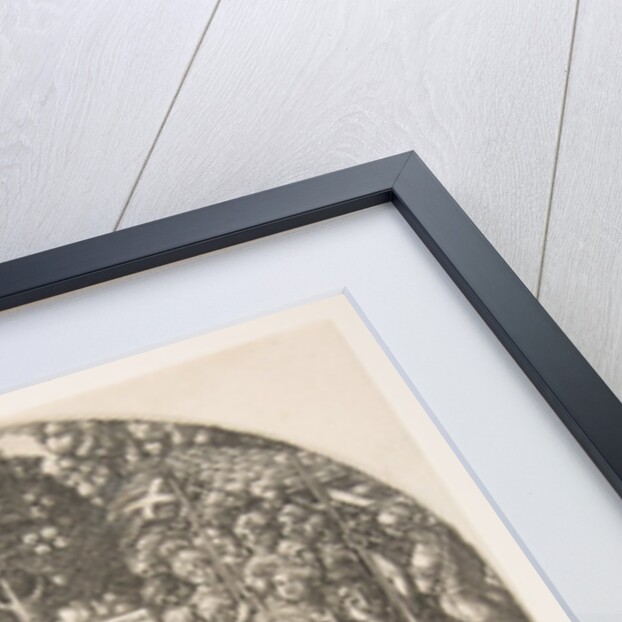 The Marriage of Adam and Eve, from The Apocalypse, ca. 1540-55 by Jean Duvet