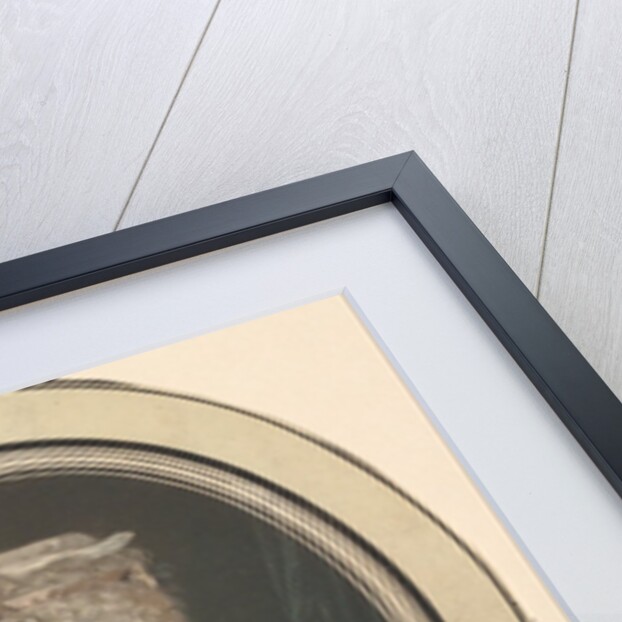 Mademoiselle Rose Bertin, Dressmaker to Marie-Antoinette by Jean Francois Janinet