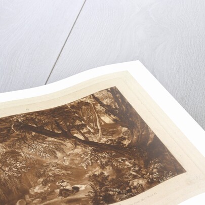 Aesacus and Hesperie, Vide Ovid Metamorphosis, Book X by JMW Turner