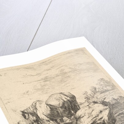 The Two Horses, 17th century by Karel Du Jardin