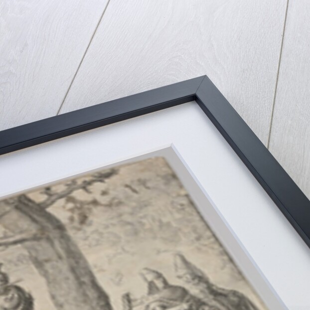 The Dance of St. Mary Magdalene by Unknown