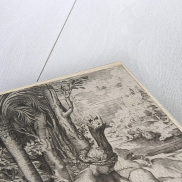 Venus removing a thorn from her left foot while seated on a cloth next to trees, a …, ca. 1515-27 by Marco Dente