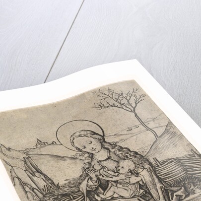 Virgin and Child on a Grassy Bench, ca. 1435-1491 by Martin Schongauer