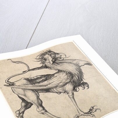 Griffin, ca. 1435-1491 by Martin Schongauer