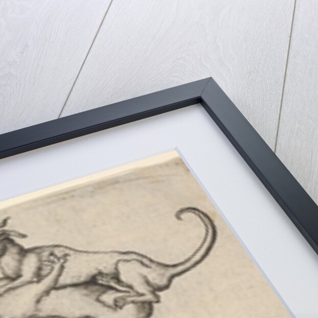 The Letter E, from The Alphabet, 1466-67 by Master ES