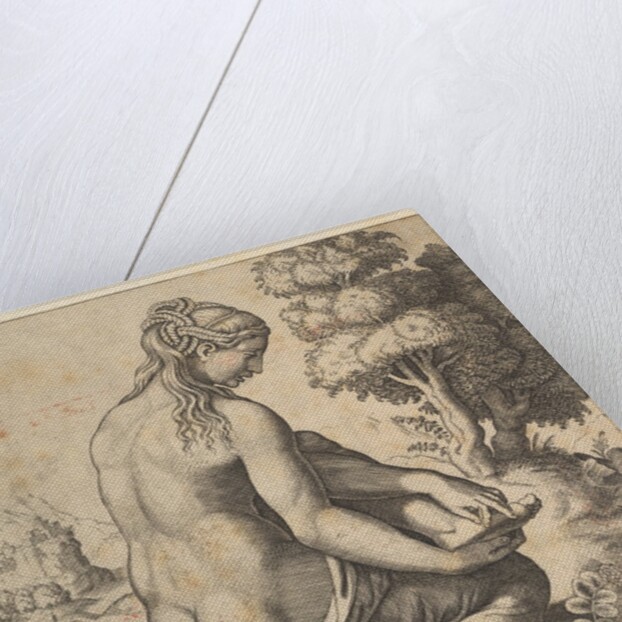 Venus removing a thorn from her foot, 1532 by Master of the Die