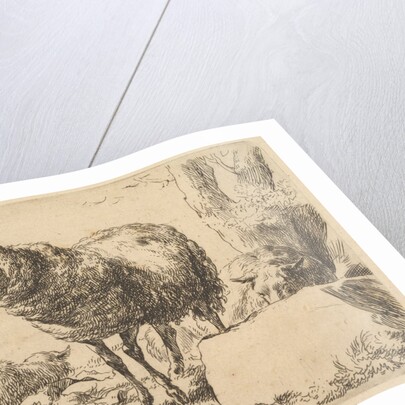 from The Set of Sheep by Nicolaes Berchem