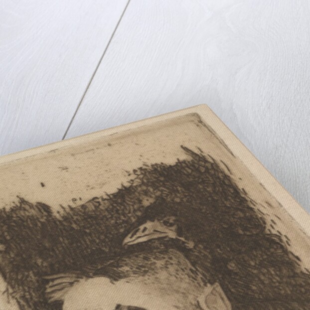 Portrait of Stéphane Mallarmé, 1891 by Paul Gauguin