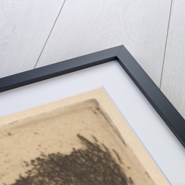 Portrait of Stéphane Mallarmé, 1891 by Paul Gauguin