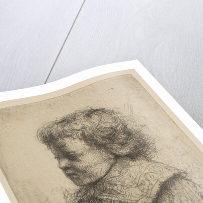 Portrait of a Boy, in Profile, 1641 by Rembrandt Harmensz van Rijn