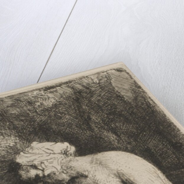 Woman Bathing Her Feet at a Brook, 1658 by Rembrandt Harmensz van Rijn