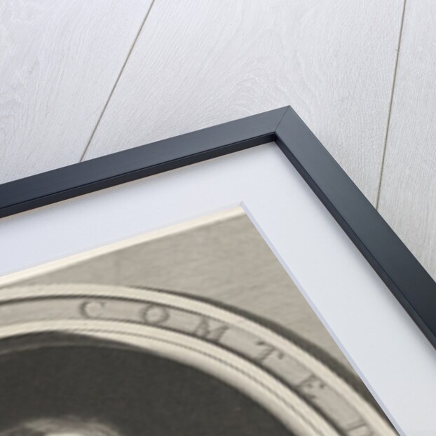 Charles d'Orléans-Longueville, Comte de Dunois, 1660 by Robert Nanteuil