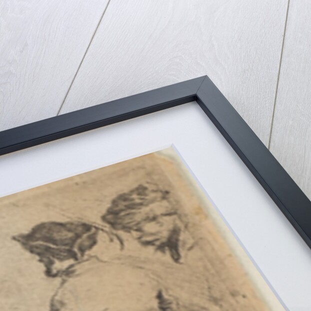 A Pole Holding a Horse by the Bridle, ca. 1662 by Stefano della Bella