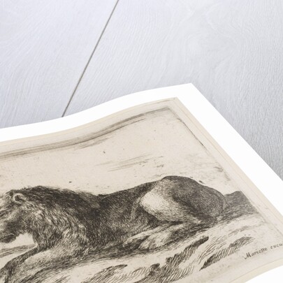 Plate 5: reclining lion, from 'Various animals', 1641 by Stefano della Bella