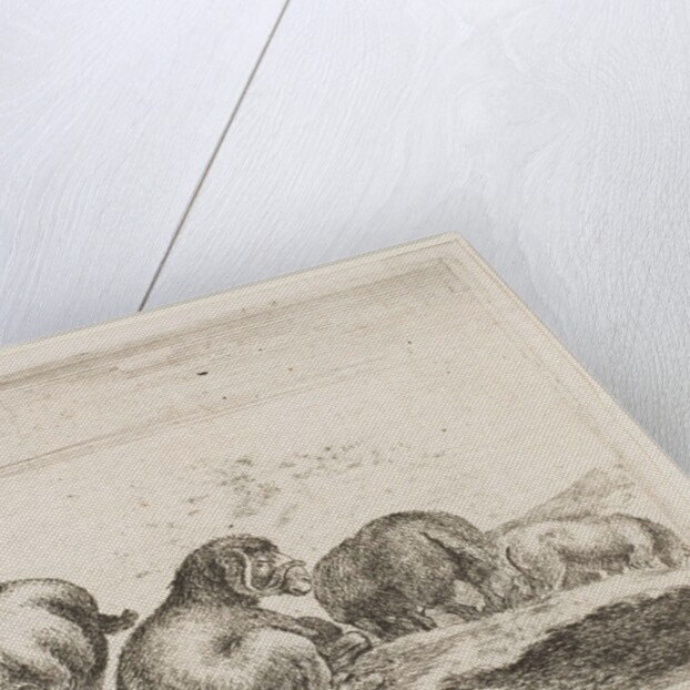 Plate 12: sheep and ram in a pasture, from 'Various animals', ca. 1641 by Stefano della Bella