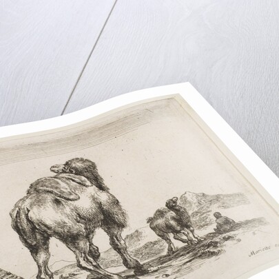 Plate 18: camel viewed from behind with pyramid at left, from 'Various animals by Stefano della Bella