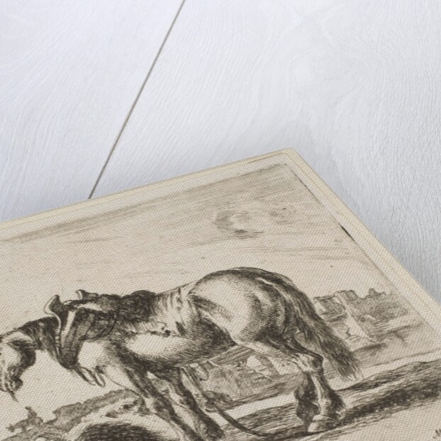 Plate 22: cart horse, from 'Various animals', ca. 1641 by Stefano della Bella