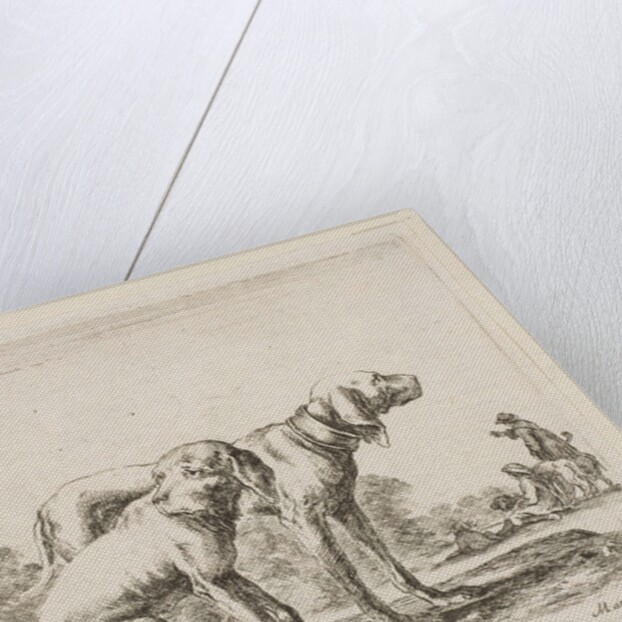 Plate 23: two hounds, from 'Various animals', ca. 1641 by Stefano della Bella