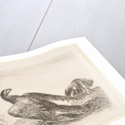 Two eagles, one with prey, from 'Eagles', ca. 1651 by Stefano della Bella