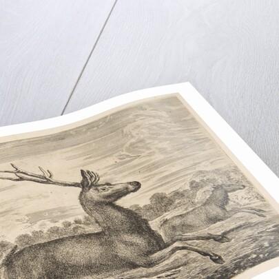 Hounds Chasing a Stag and a Doe, ca. 1654 by Stefano della Bella
