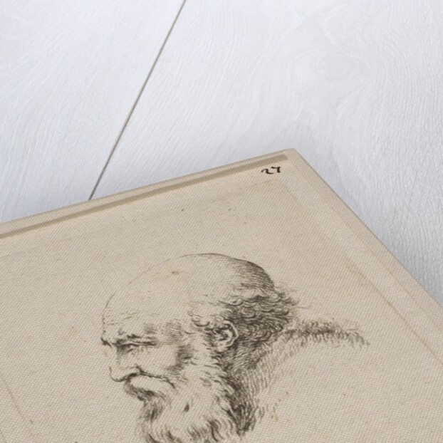 Head of a Bald and Bearded Old Man in Profile, from 'Various heads and figures by Stefano della Bella