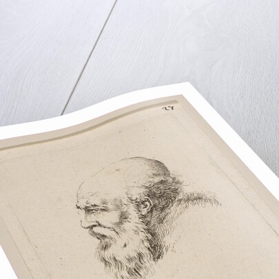 Head of a Bald and Bearded Old Man in Profile, from 'Various heads and figures by Stefano della Bella
