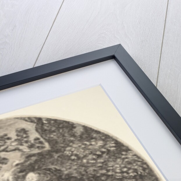 A female satyr breastfeeding an child to the right, turned towards the left, a satyr child…, 1639 by Stefano della Bella