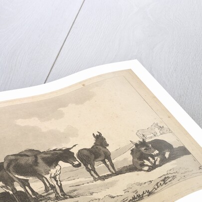 A Group of Five Donkeys, Three Standing, Two Lying, 1783-87 by Thomas Rowlandson