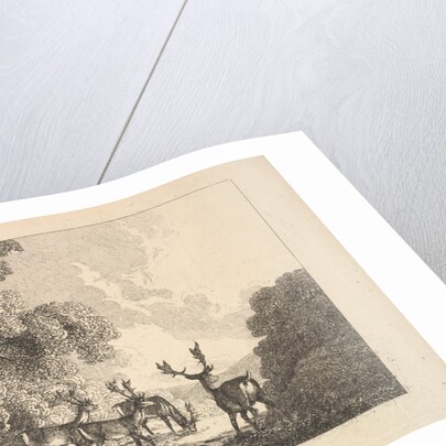 A Group of Stags Drinking, 1784-88 by Thomas Rowlandson