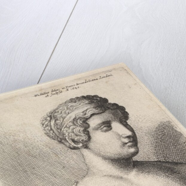Antique bust of a woman, 1645 by Wenceslaus Hollar