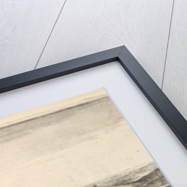 Prospect of ye lower part of Tangier, from the hill West of White-hall, 1669-73 by Wenceslaus Hollar