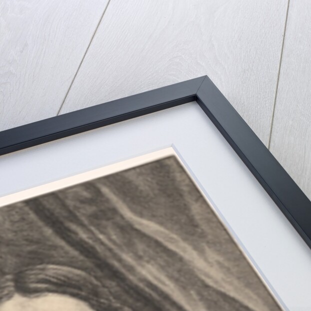 Raphael, 1651 by Wenceslaus Hollar