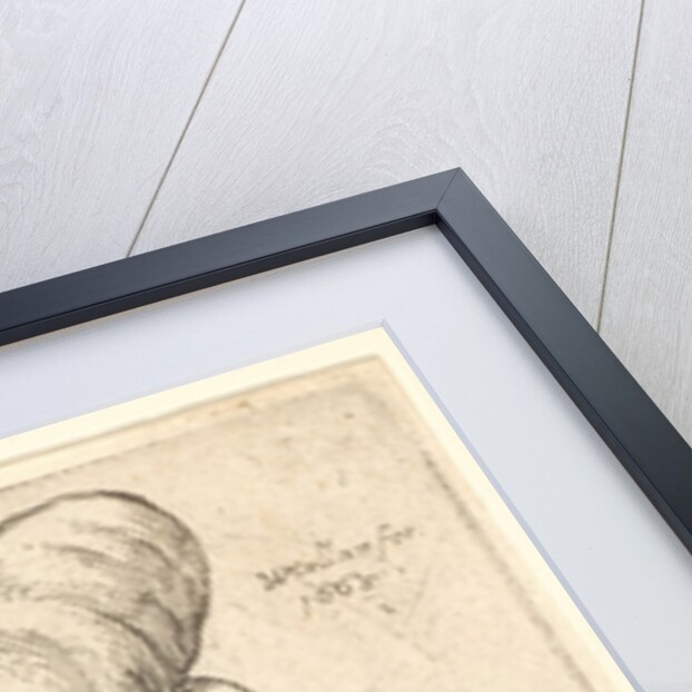 Bust of woman with wide open mouth and up-turned nose, wearing large flat turban with clot…, 1665 by Wenceslaus Hollar