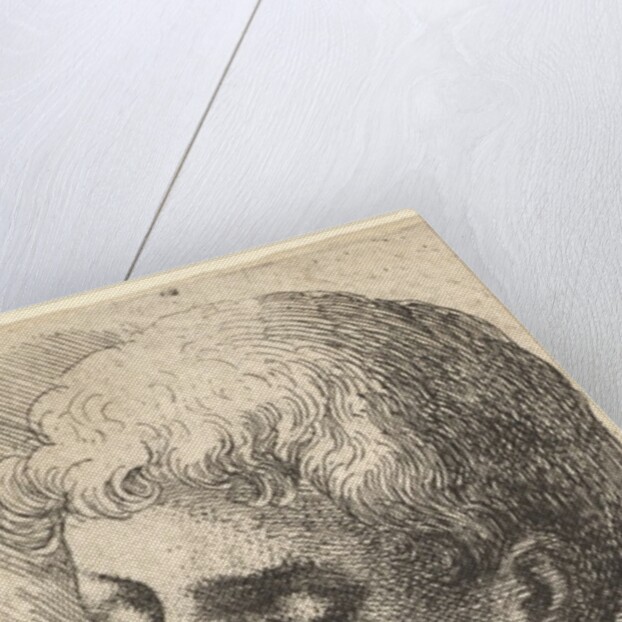 Three heads, 1645 by Wenceslaus Hollar
