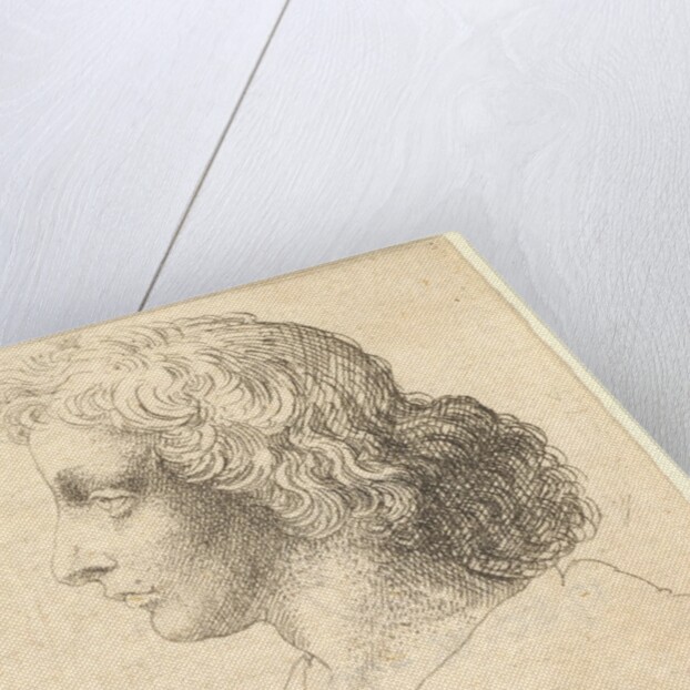 Head of young man with long hair in profile to the left, 1644-52 by Wenceslaus Hollar