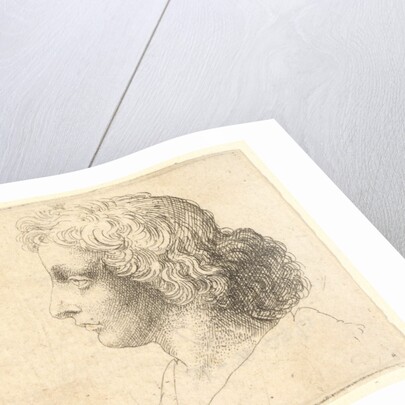 Head of young man with long hair in profile to the left, 1644-52 by Wenceslaus Hollar