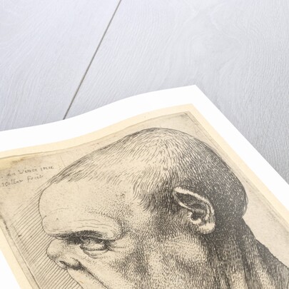 Grotesque old man with flattened nose in profile to left, 1625-77 by Wenceslaus Hollar