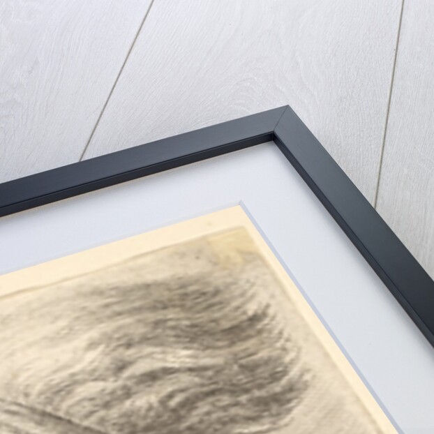 Man with caricatured features and hair streaming behind, in half-length to left, 1648 by Wenceslaus Hollar