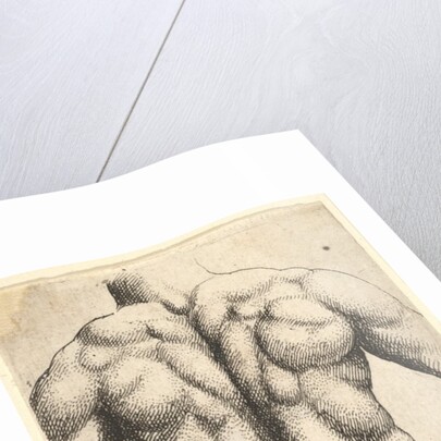 Naked male torso seen from behind, 1645 by Wenceslaus Hollar