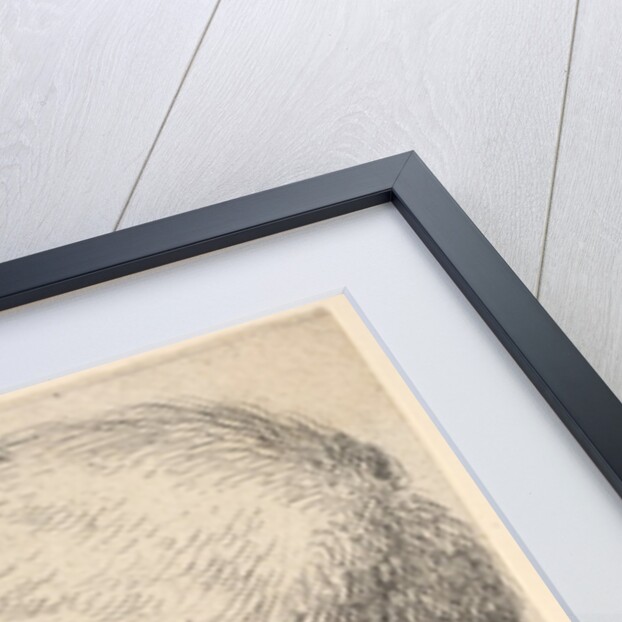 Head of an old man with a pronounced chin, short cropped hair and gaping mouth showing …, 1625-77 by Wenceslaus Hollar