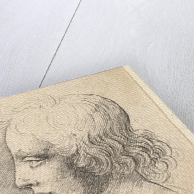 Three profile heads, one in outline only, 1625-77 by Wenceslaus Hollar