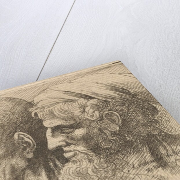 Row of three heads in profile to left, 1645 by Wenceslaus Hollar