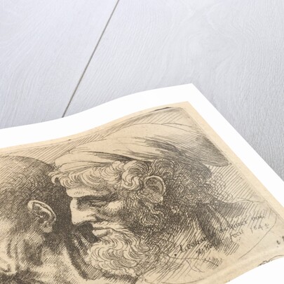 Row of three heads in profile to left, 1645 by Wenceslaus Hollar