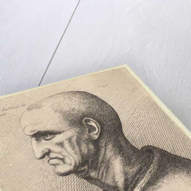 Man with stern expression in profile to left, 1645 by Wenceslaus Hollar