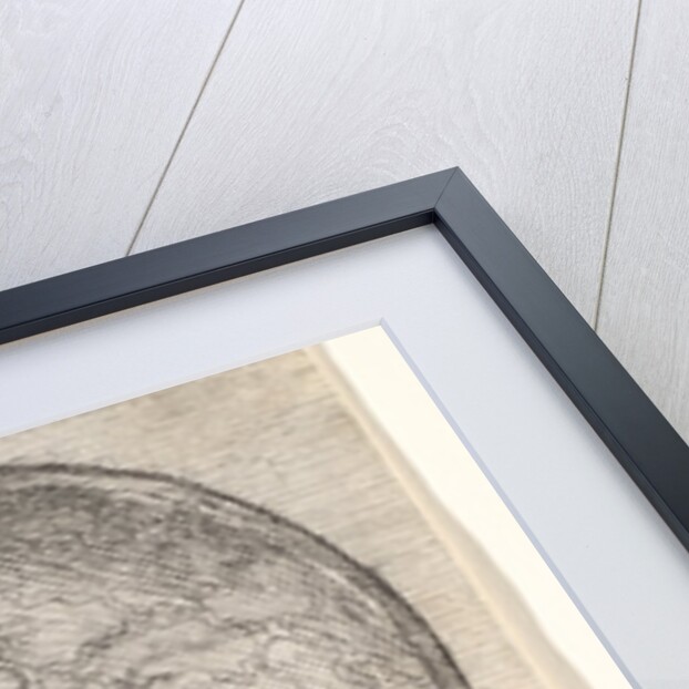 Sectioned skull in profile to left with the left side of the cranium removed, 1651 by Wenceslaus Hollar