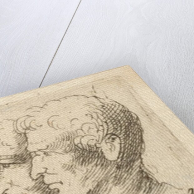 Head studies, 1625-77 by Wenceslaus Hollar/Leonardo da Vinci