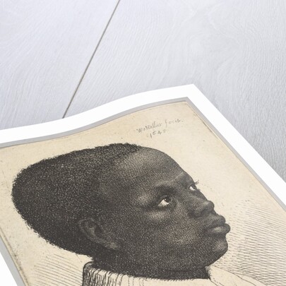Head of a young black boy in profile to right, 1645 by Wenceslaus Hollar