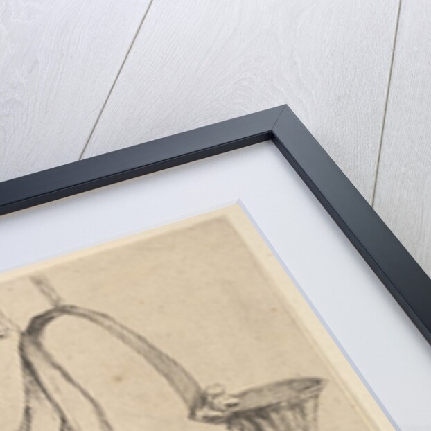 Seven hunting horns in three groupings, 1625-77 by Wenceslaus Hollar