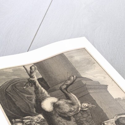 The Dead Hare, 1649 by Wenceslaus Hollar