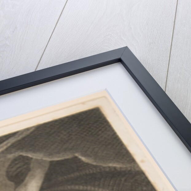 Tornado-Zeus Battling Typhon, August 1, 1795 by William Blake